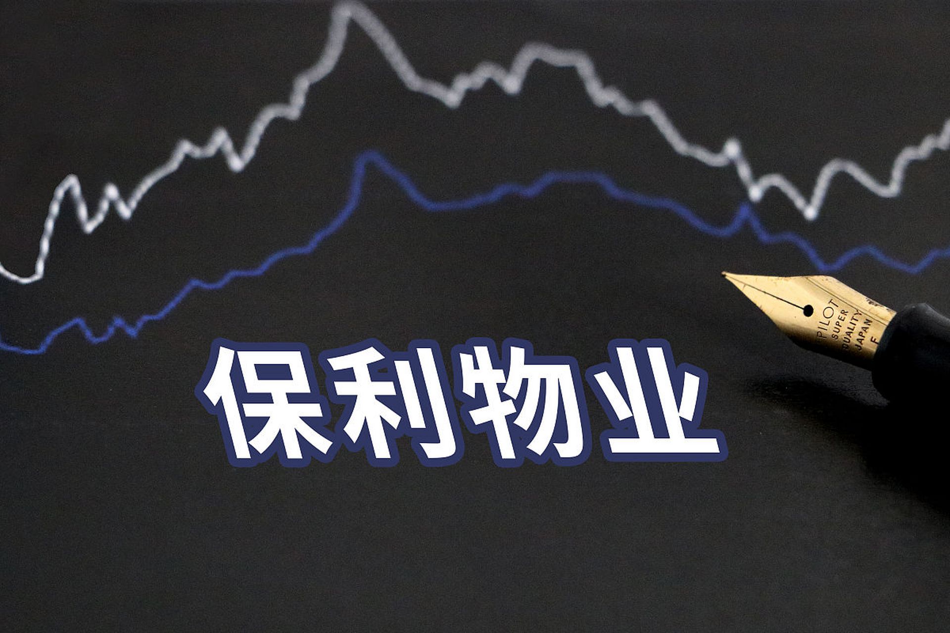 保利家私